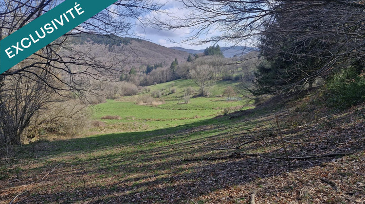 Ma-Cabane - Vente Maison Fraisse-sur-Agout, 207 m²