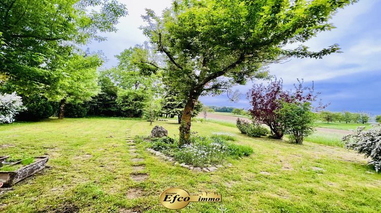 Ma-Cabane - Vente Maison Franken, 250 m²