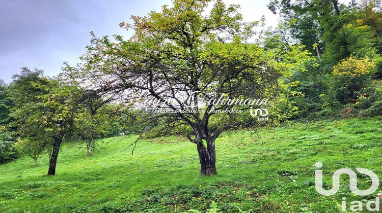 Ma-Cabane - Vente Maison Fréland, 149 m²