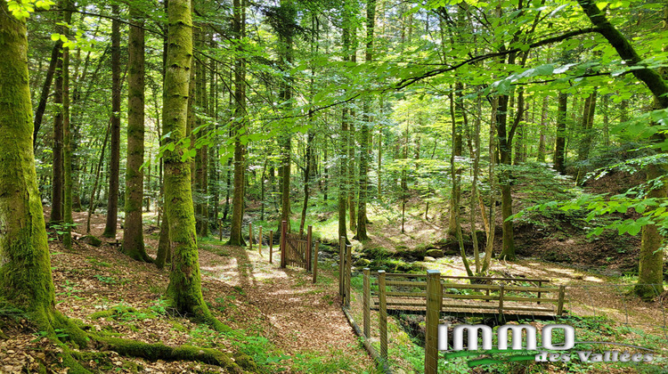 Ma-Cabane - Vente Maison FRESSE-SUR-MOSELLE, 273 m²