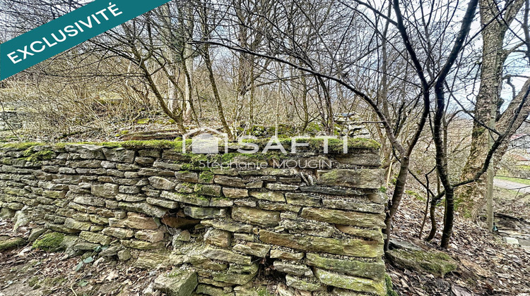 Ma-Cabane - Vente Maison Froidevaux, 162 m²