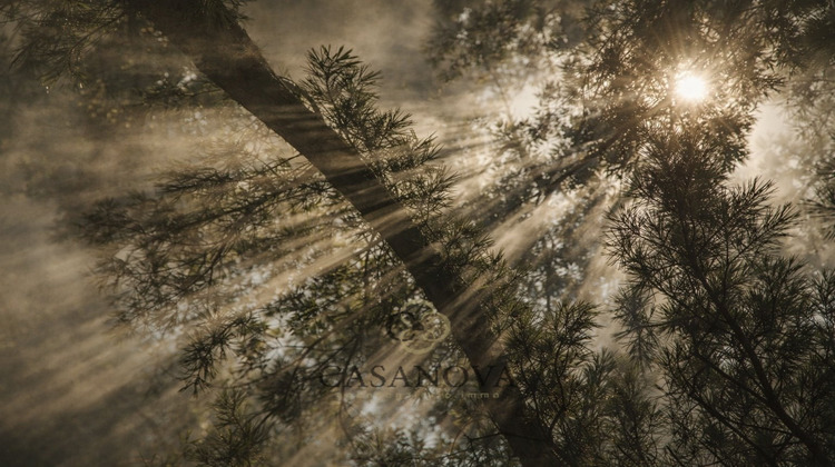 Ma-Cabane - Vente Maison FRONTIGNAN, 150 m²