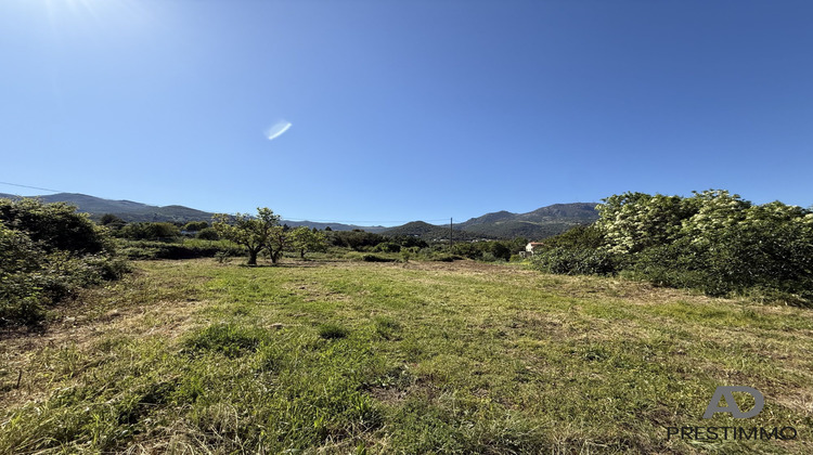 Ma-Cabane - Vente Maison Furiani, 140 m²