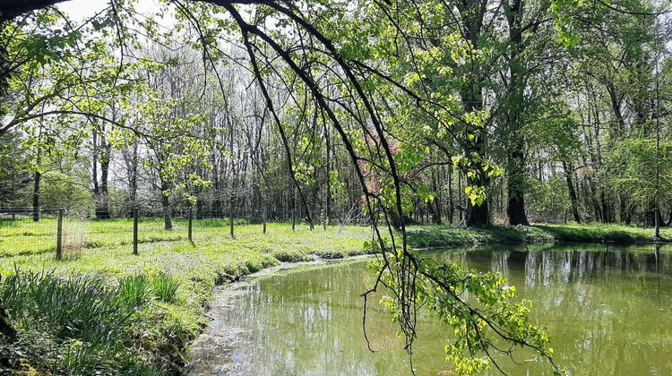 Ma-Cabane - Vente Maison Gaillac, 416 m²