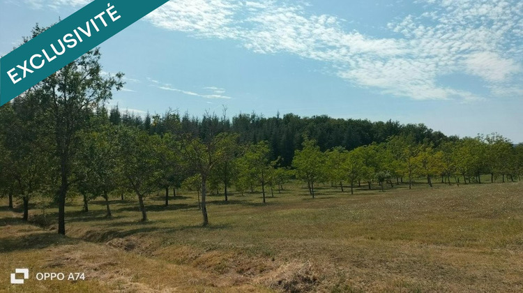 Ma-Cabane - Vente Maison Gaillac, 225 m²