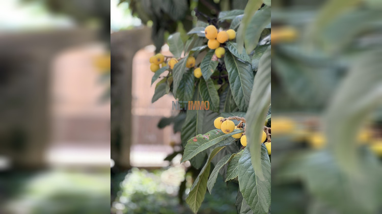 Ma-Cabane - Vente Maison Gallargues-le-Montueux, 172 m²