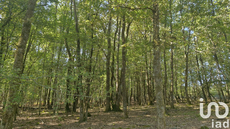 Ma-Cabane - Vente Maison Gardegan-Et-Tourtirac, 300 m²