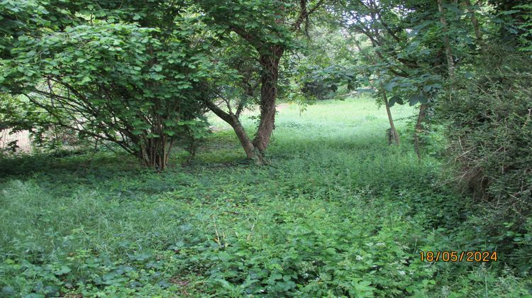 Ma-Cabane - Vente Maison Gençay, 262 m²