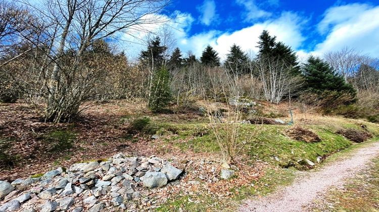 Ma-Cabane - Vente Maison Gérardmer, 270 m²