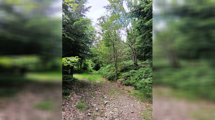 Ma-Cabane - Vente Maison Gérardmer, 130 m²