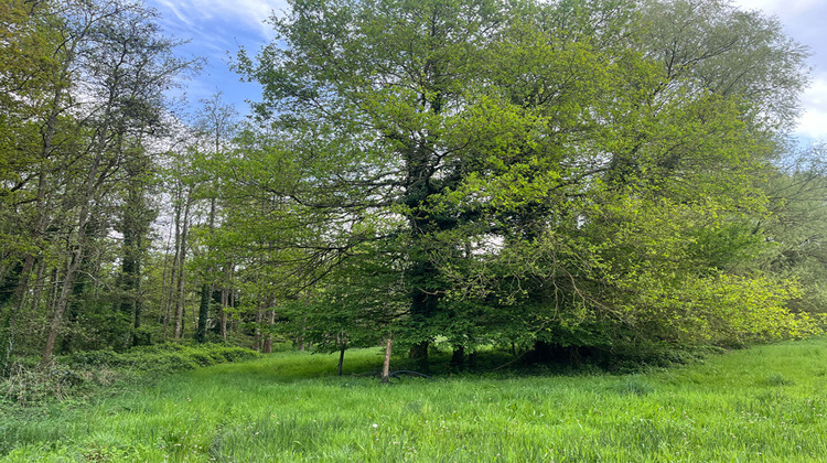 Ma-Cabane - Vente Maison GEVEZE, 165 m²