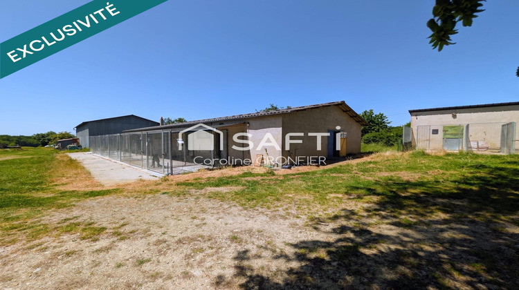 Ma-Cabane - Vente Maison Gilly-sur-Loire, 380 m²