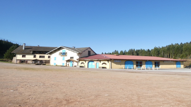 Ma-Cabane - Vente Maison GIRMONT VAL D AJOL, 3000 m²