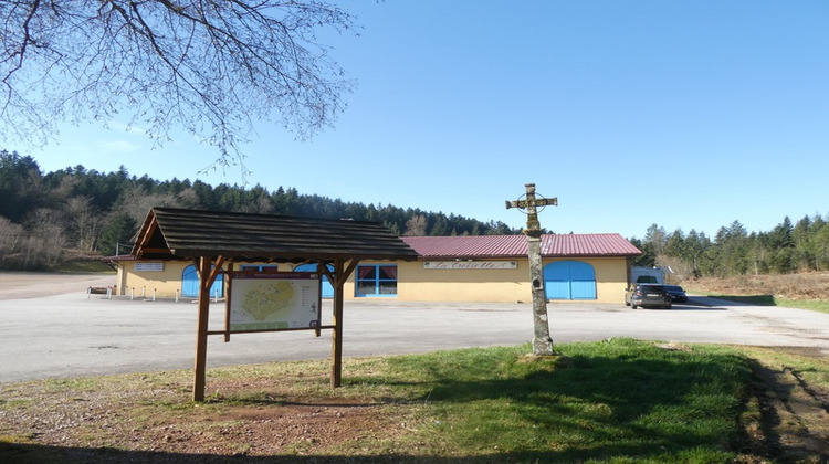 Ma-Cabane - Vente Maison GIRMONT VAL D AJOL, 3000 m²