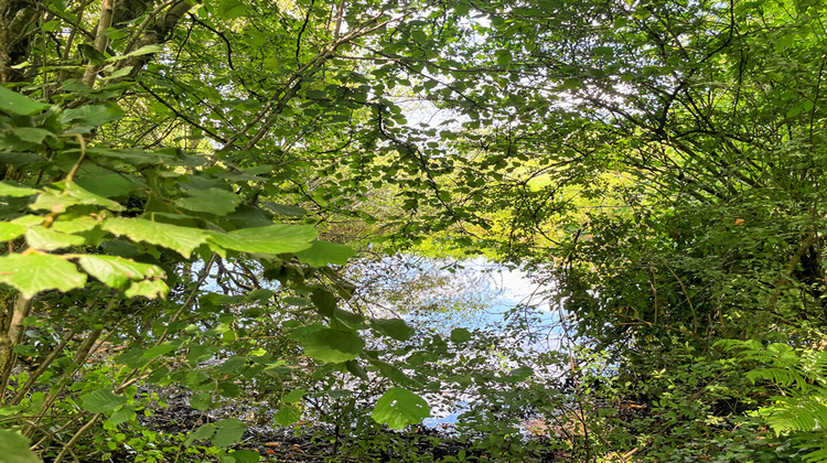 Ma-Cabane - Vente Maison GOMENE, 110 m²