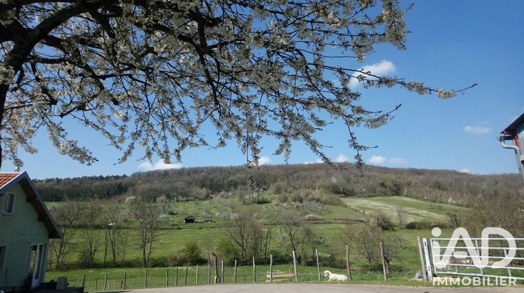 Ma-Cabane - Vente Maison Gouhelans, 165 m²