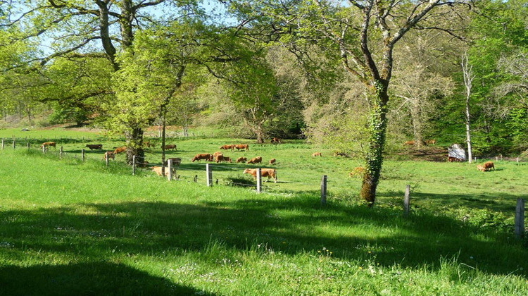 Ma-Cabane - Vente Maison GOURDON, 60 m²