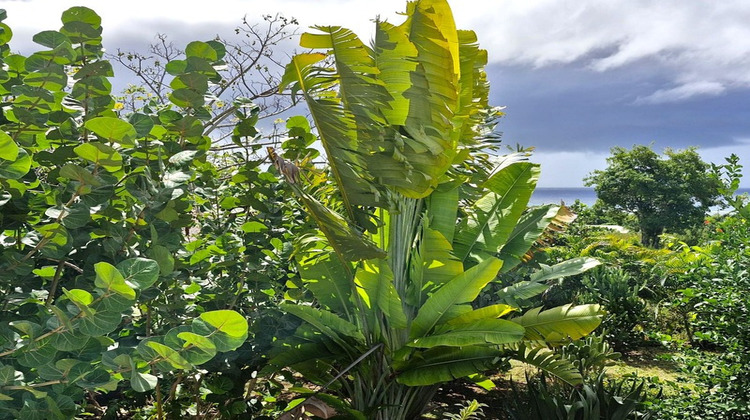 Ma-Cabane - Vente Maison GRAND BOURG, 160 m²