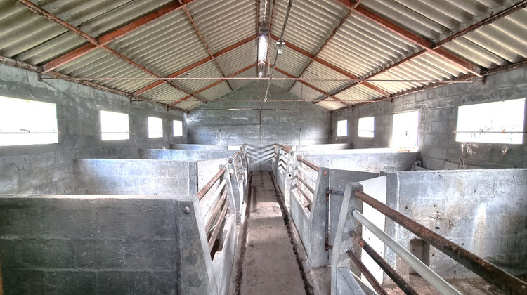 Ma-Cabane - Vente Maison GRANZAY-GRIPT, 91 m²