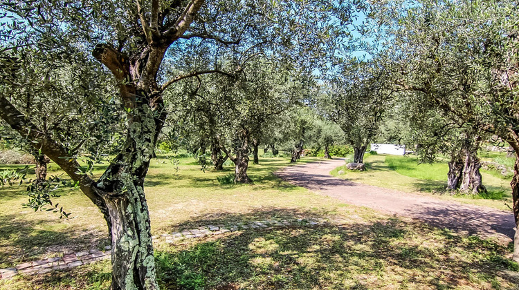 Ma-Cabane - Vente Maison Grasse, 260 m²