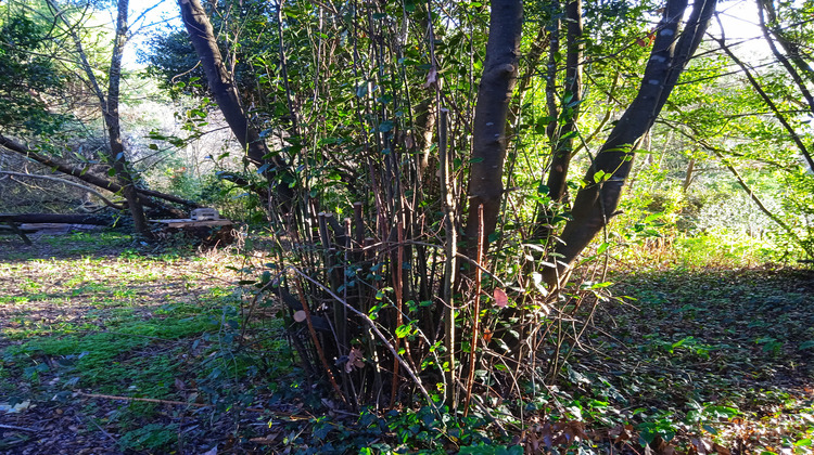 Ma-Cabane - Vente Maison Grayan-et-l'Hôpital, 180 m²