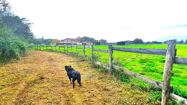 Ma-Cabane - Vente Maison Grenade-sur-l'Adour, 605 m²