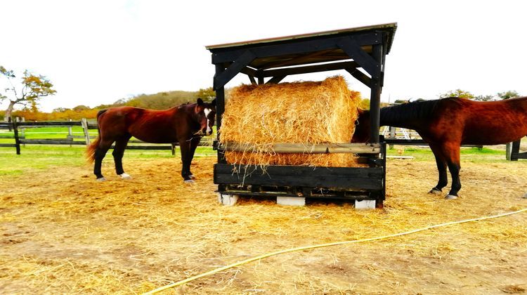 Ma-Cabane - Vente Maison Grenade-sur-l'Adour, 605 m²