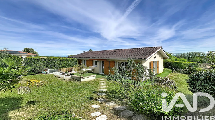 Ma-Cabane - Vente Maison Grenay, 85 m²
