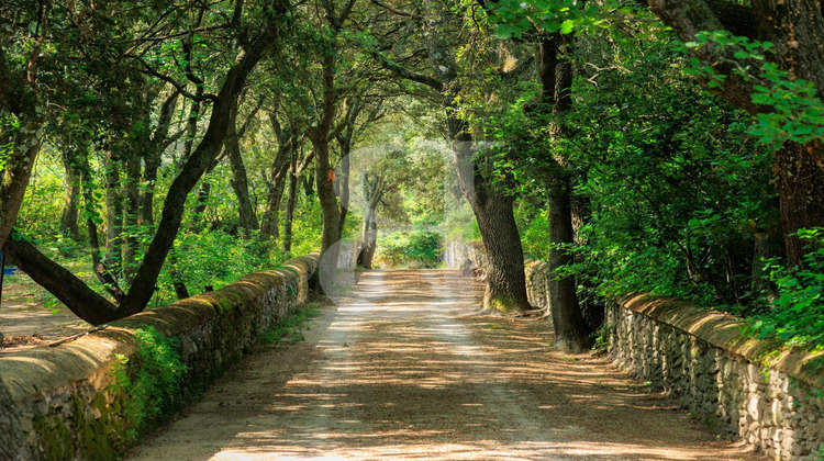 Ma-Cabane - Vente Maison Grignan, 385 m²