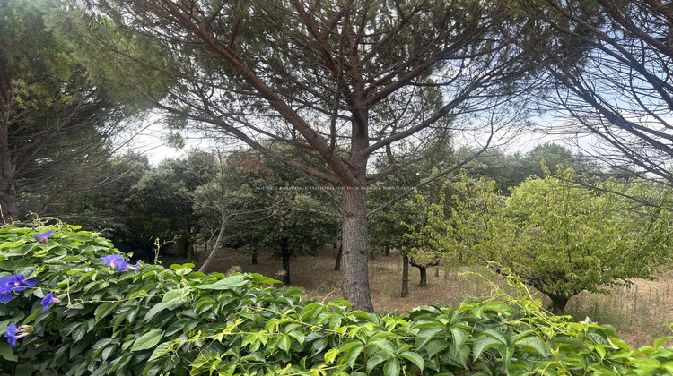 Ma-Cabane - Vente Maison Grignan, 185 m²