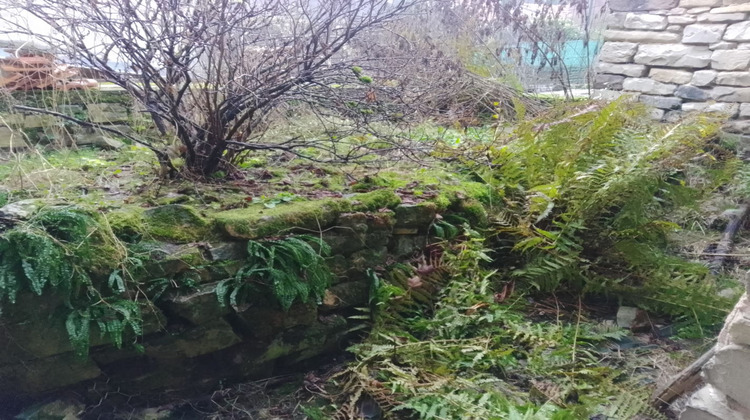 Ma-Cabane - Vente Maison GRIPPORT, 100 m²