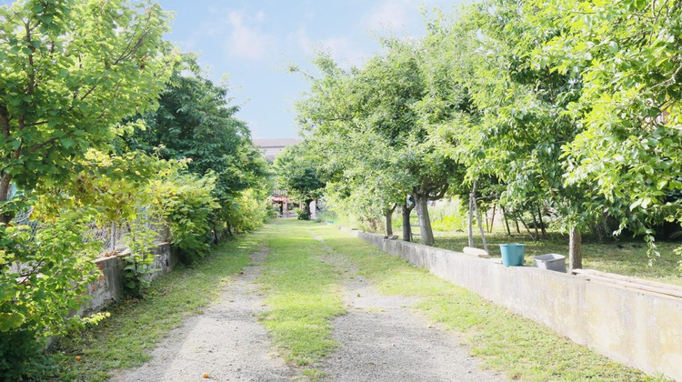 Ma-Cabane - Vente Maison GRISOLLES, 310 m²