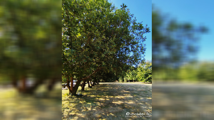 Ma-Cabane - Vente Maison Groix, 73 m²