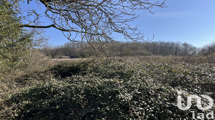 Ma-Cabane - Vente Maison Gron, 95 m²