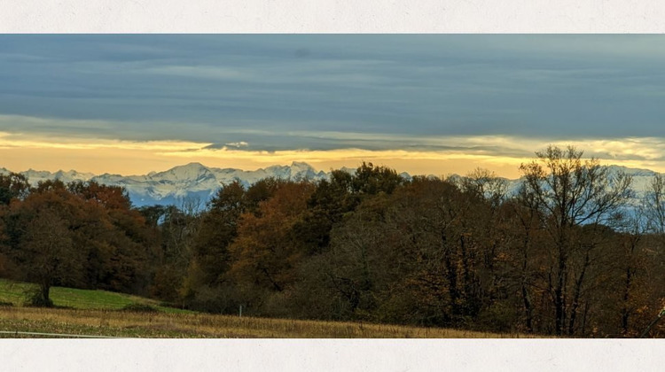 Ma-Cabane - Vente Maison Hagetmau, 275 m²