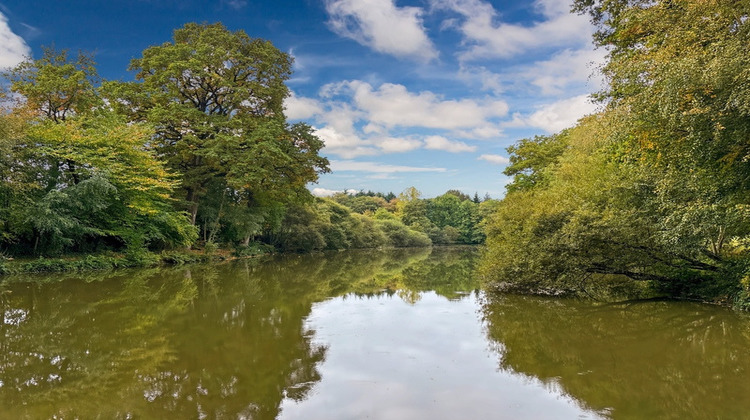 Ma-Cabane - Vente Maison HAMBERS, 274 m²
