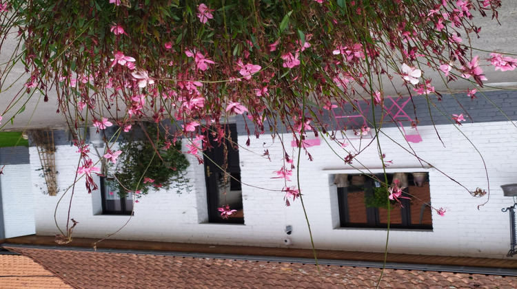 Ma-Cabane - Vente Maison Hesdin, 262 m²