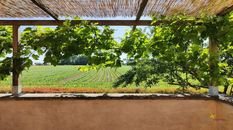 Ma-Cabane - Vente Maison Hilsenheim, 105 m²