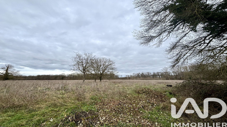 Ma-Cabane - Vente Maison Hommes, 272 m²