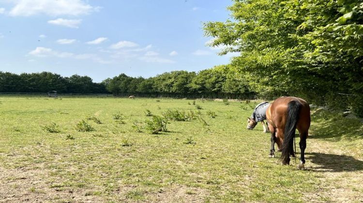 Ma-Cabane - Vente Maison Honfleur, 500 m²