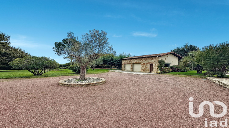 Ma-Cabane - Vente Maison Horsarrieu, 274 m²