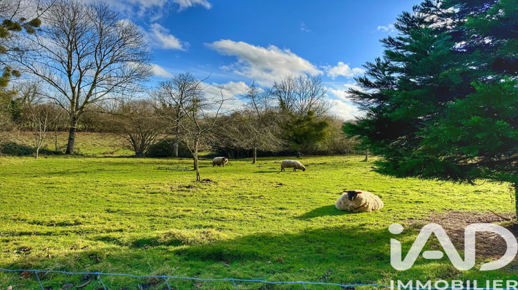 Ma-Cabane - Vente Maison Hudimesnil, 230 m²