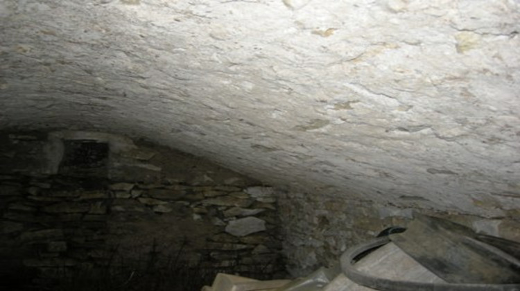 Ma-Cabane - Vente Maison INEUIL, 60 m²