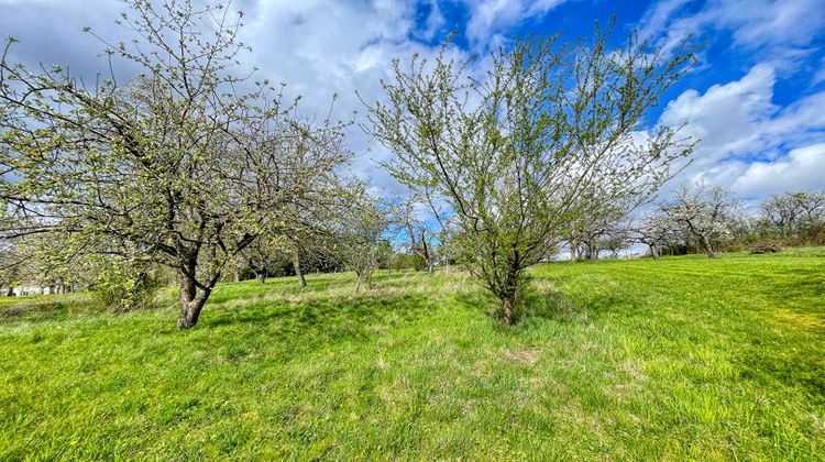 Ma-Cabane - Vente Maison INGWILLER, 233 m²