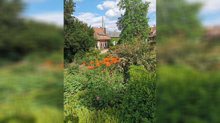 Ma-Cabane - Vente Maison Ingwiller, 500 m²