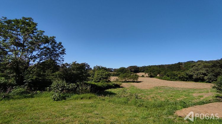 Ma-Cabane - Vente Maison ISSOUDUN-LETRIEIX, 337 m²