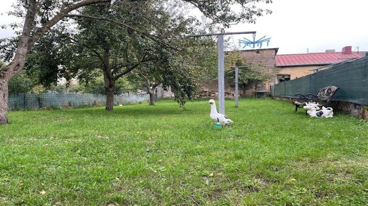 Ma-Cabane - Vente Maison Jametz, 126 m²