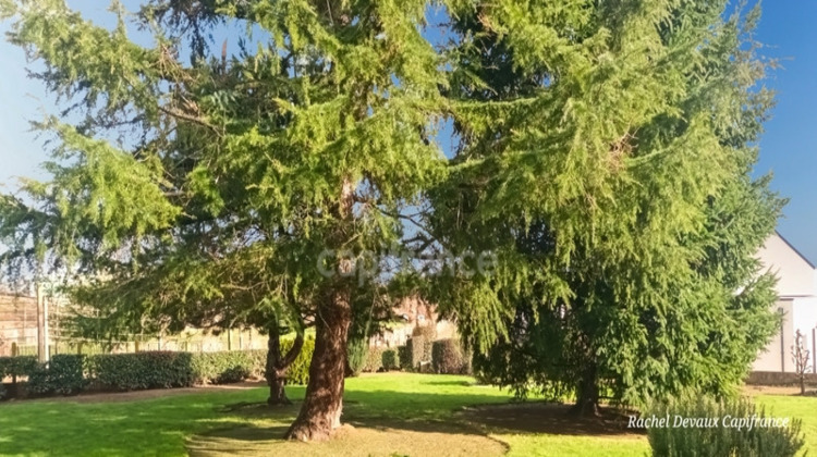 Ma-Cabane - Vente Maison JANZE, 184 m²