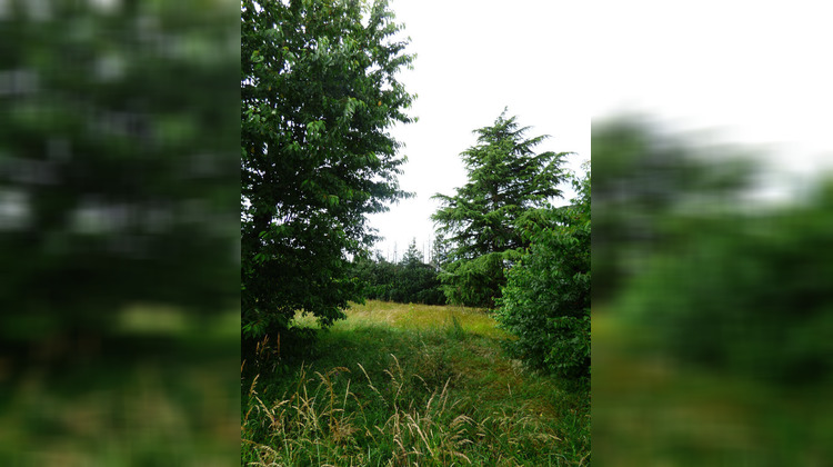 Ma-Cabane - Vente Maison JARGEAU, 108 m²