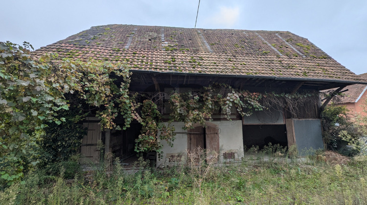 Ma-Cabane - Vente Maison Jebsheim, 765 m²